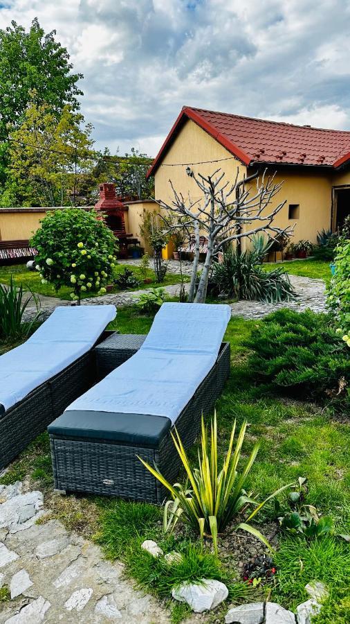 شقة Leto House Târgu Jiu المظهر الخارجي الصورة